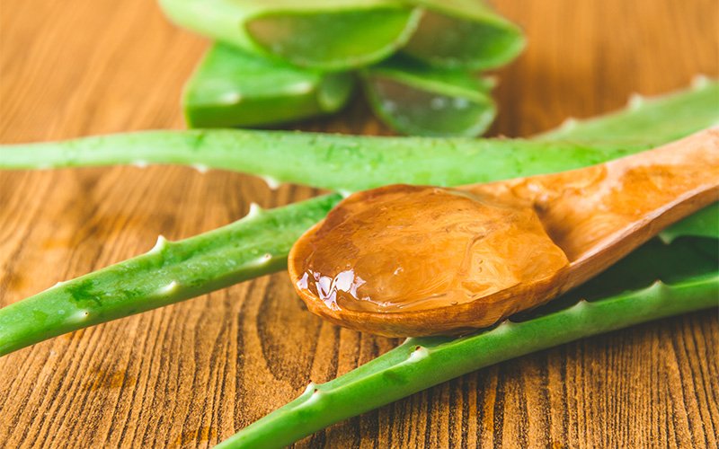 Fresh aloe vera gel natural remedy for soothing sensitive scalp.